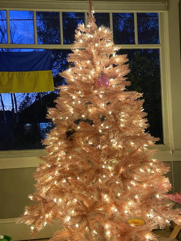 Review Thumbnail Image 1 229968133