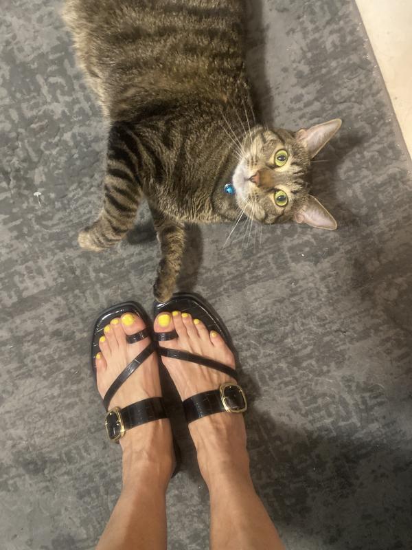 Review Thumbnail Image 0 241635048