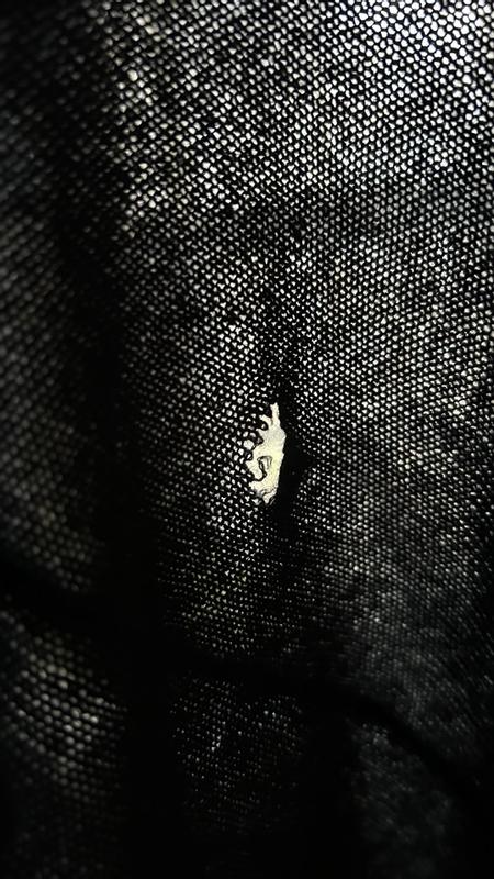 Review Thumbnail Image 1 238836072