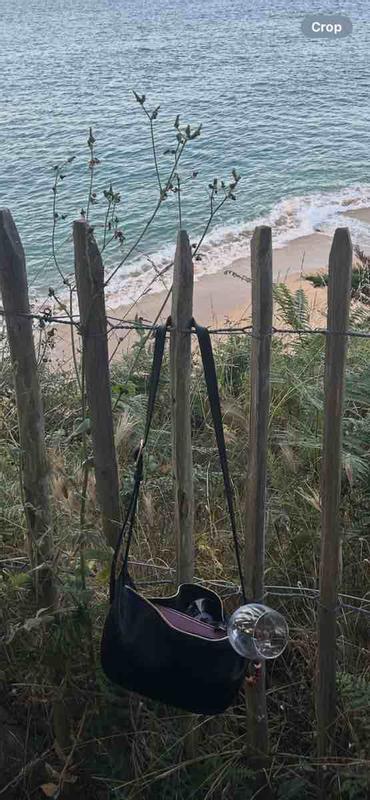 Review Thumbnail Image 1 243210188