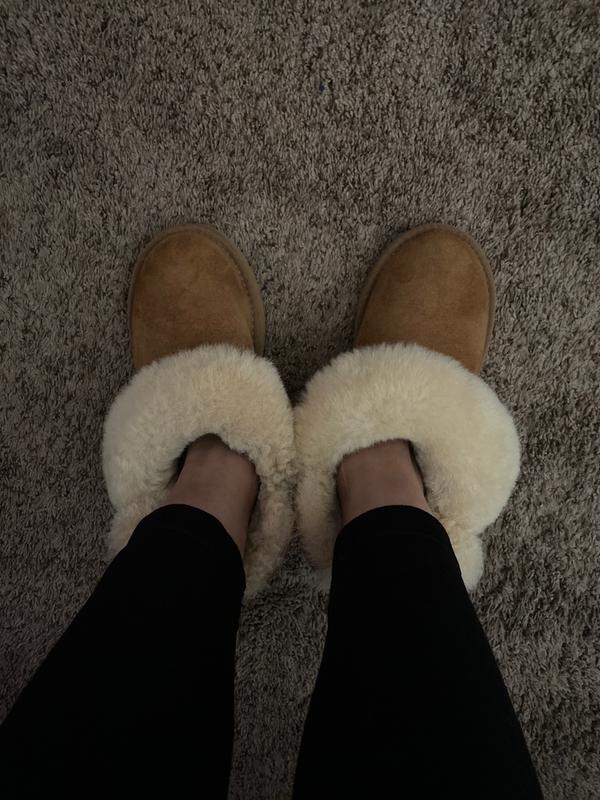 Review Thumbnail Image 1 195736945