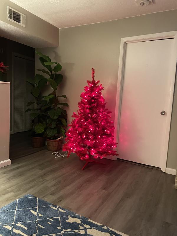 Review Thumbnail Image 1 221270991