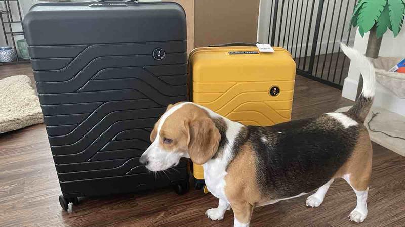 Review Thumbnail Image 0 232793865