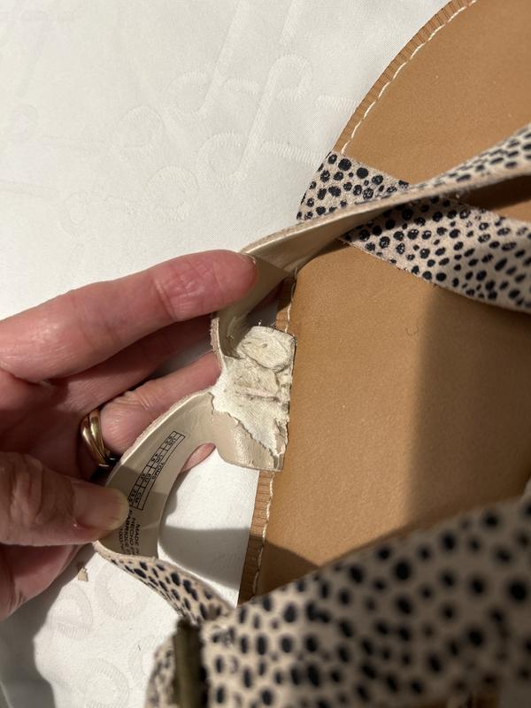 Review Thumbnail Image 3 235629996