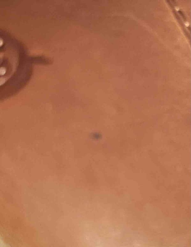 Review Thumbnail Image 0 240618684