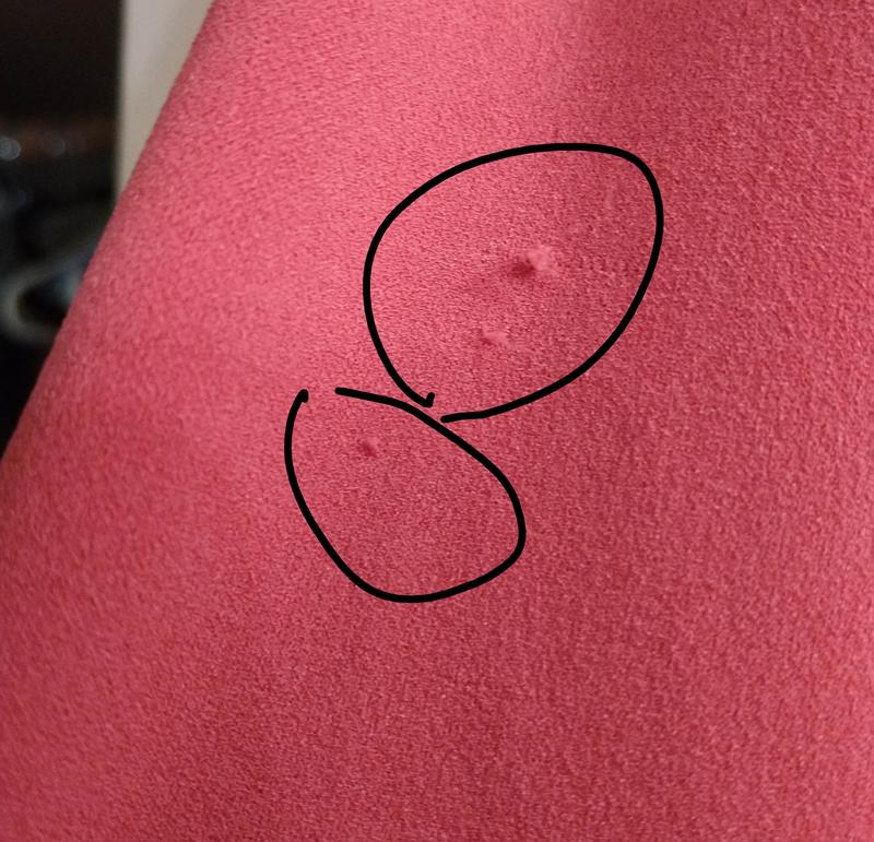 Review Thumbnail Image 1 244678212