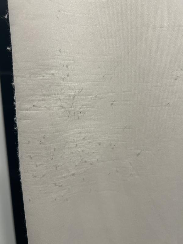 Review Thumbnail Image 0 244680595