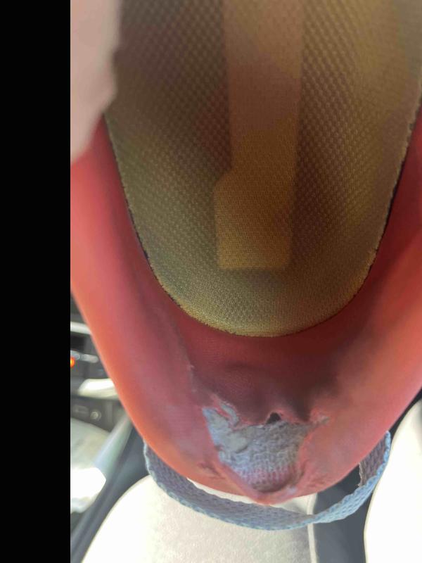 Review Thumbnail Image 1 238578994