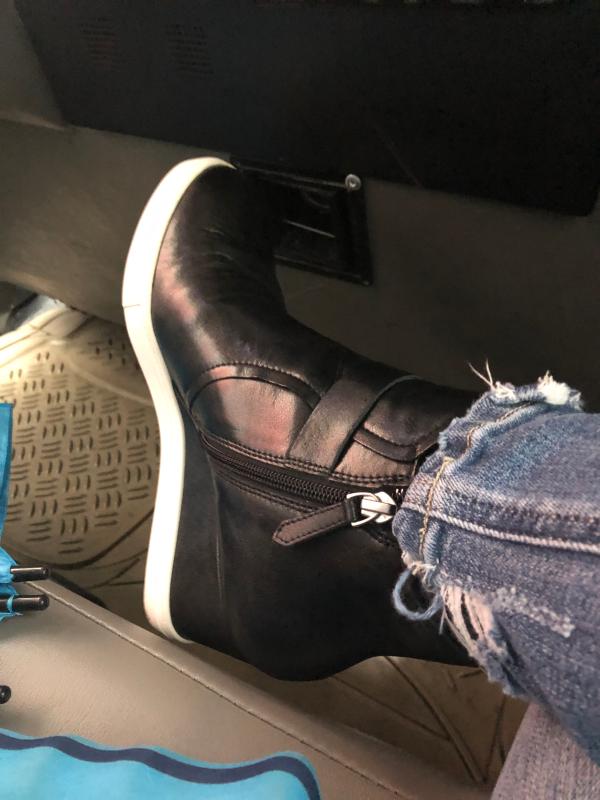 linea paolo freshton high top wedge sneaker