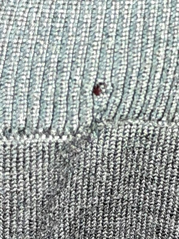 Review Thumbnail Image 2 for review 248876914