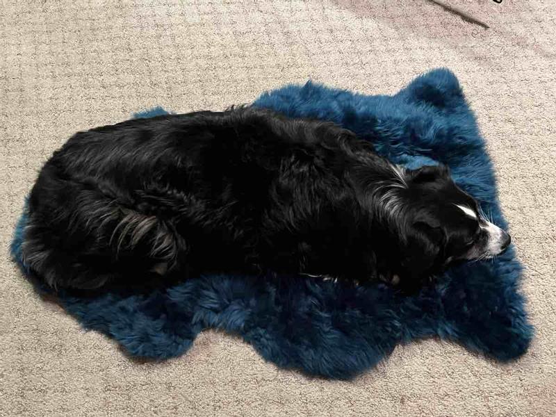 Review Thumbnail Image 0 227967095