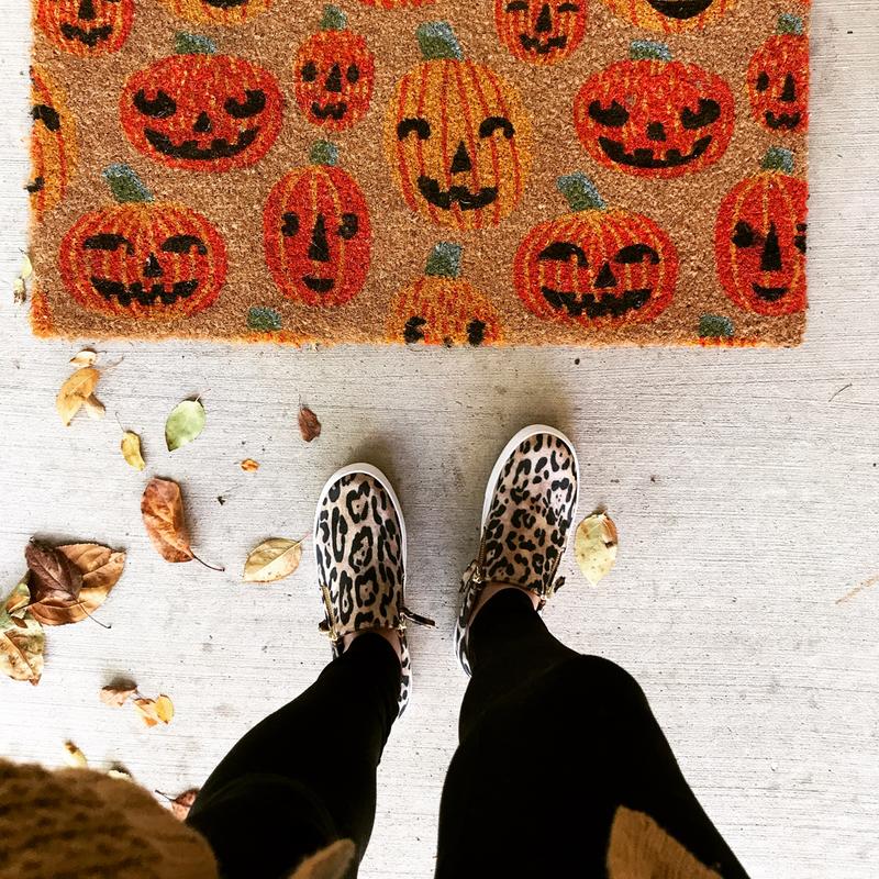 steve madden glaammar zip sneaker leopard