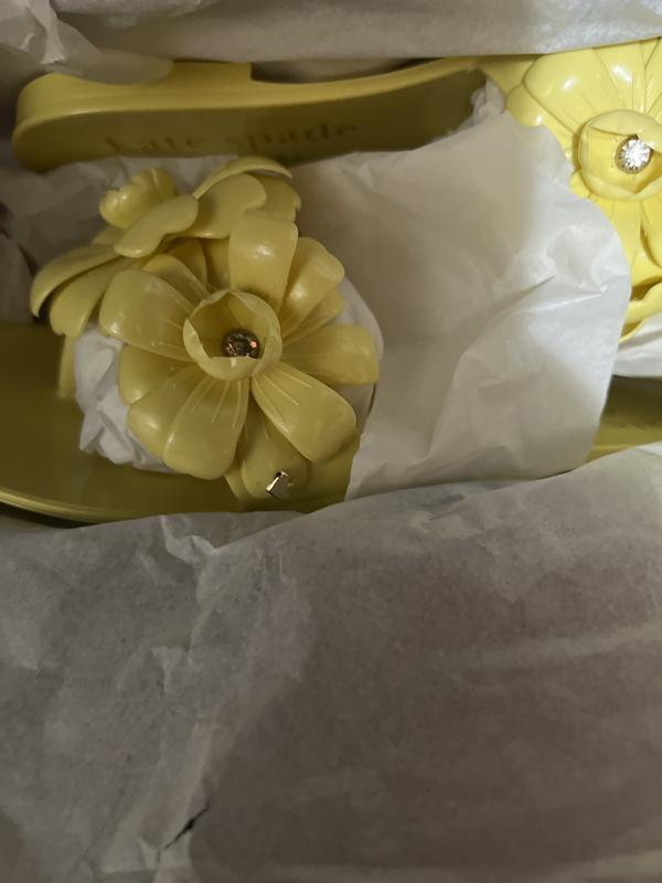 Review Thumbnail Image 0 249056105