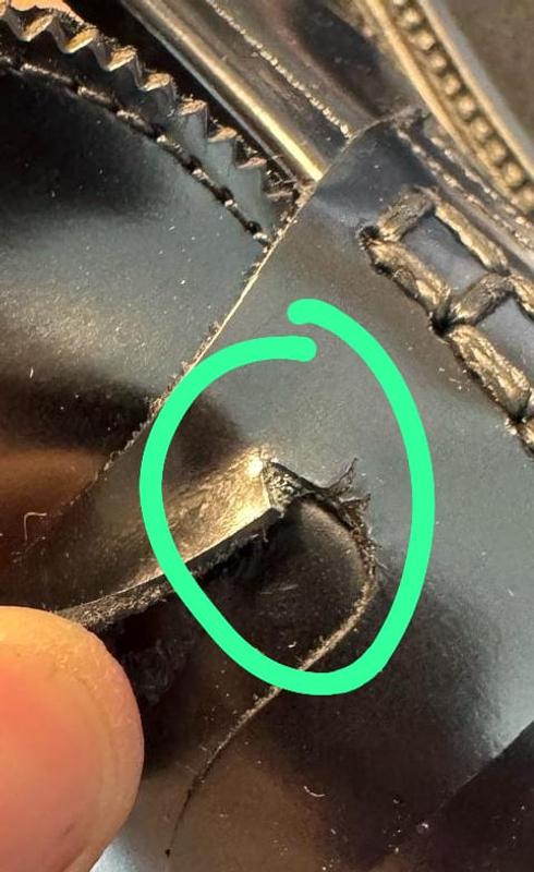 Review Thumbnail Image 1 239995424