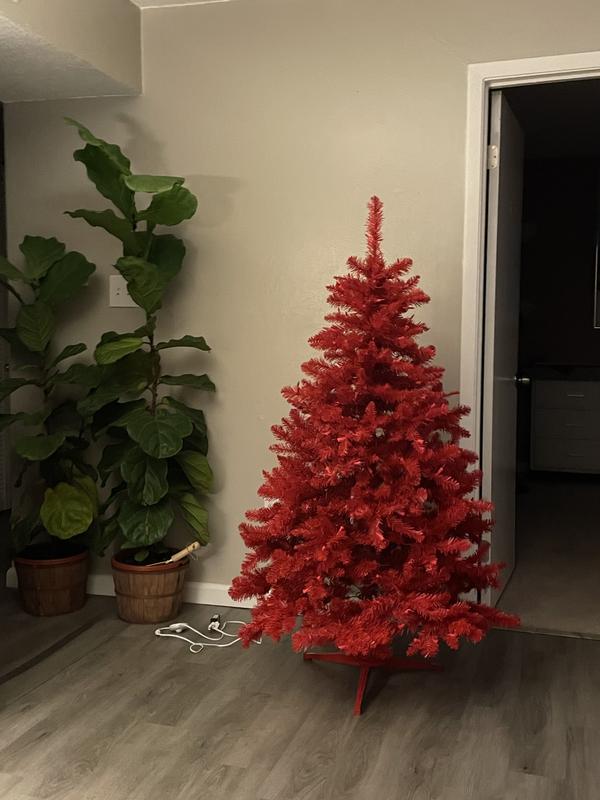 Review Thumbnail Image 0 221270991