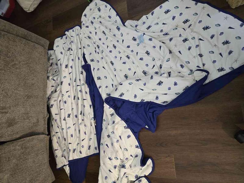 Review Thumbnail Image 0 242110111