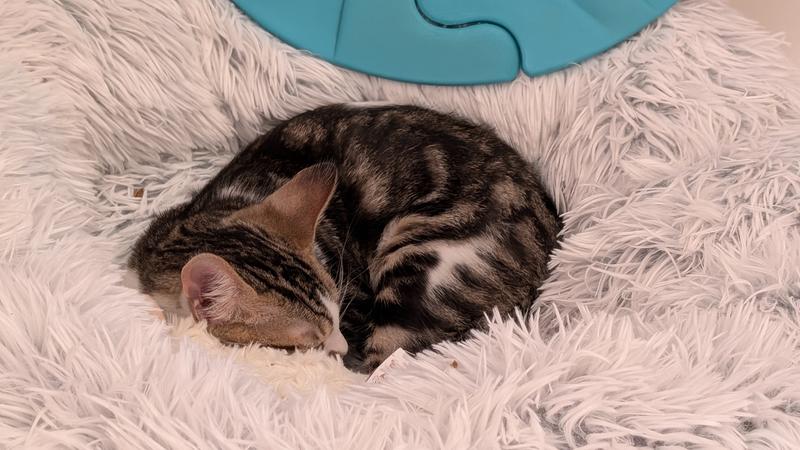 Review Thumbnail Image 0 245818868