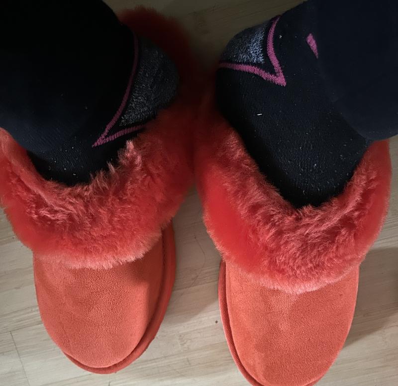 Review Thumbnail Image 0 229483411