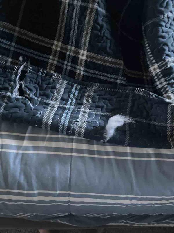 Review Thumbnail Image 0 236440929