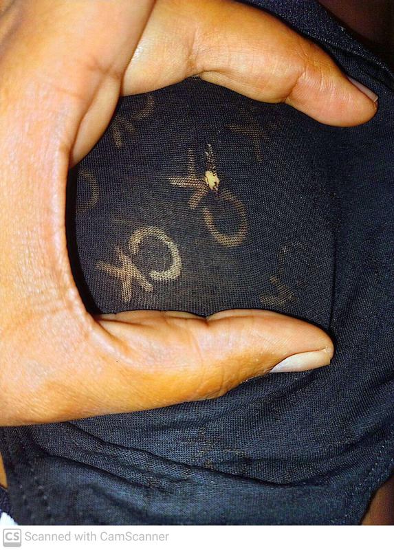 Review Thumbnail Image 1 243526381