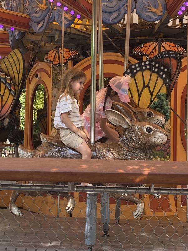 Review Thumbnail Image 0 244316857