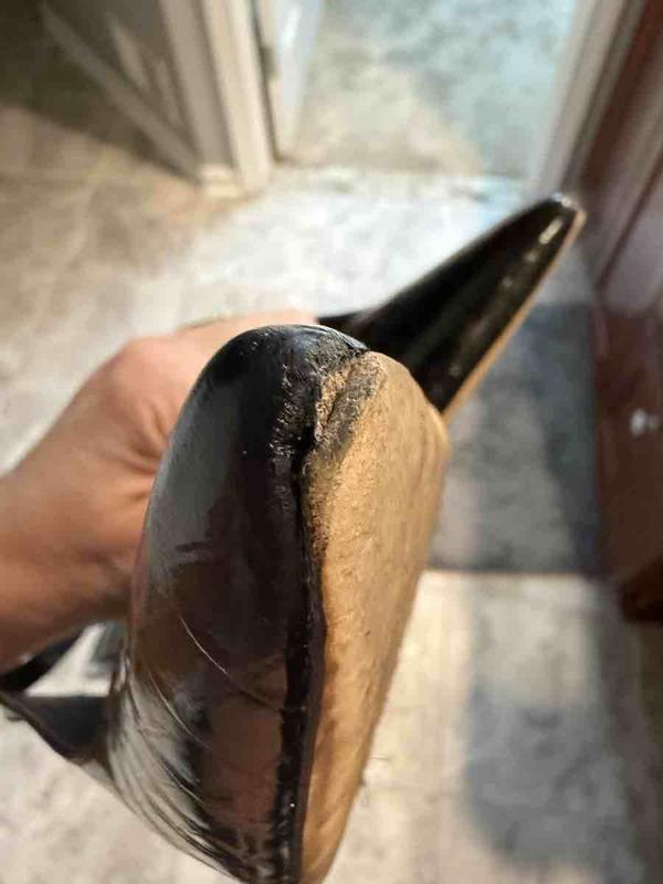 Review Thumbnail Image 1 245213702