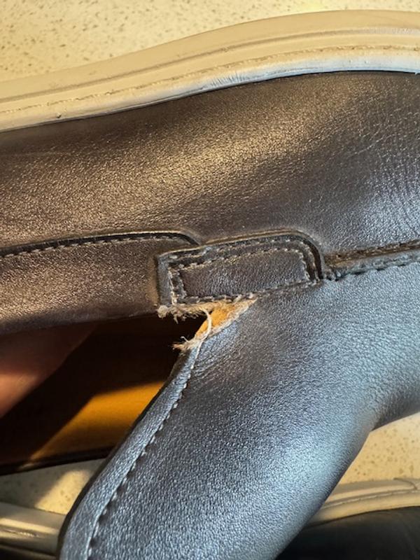 Review Thumbnail Image 4 244832153