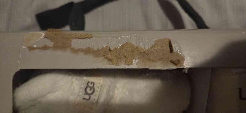 Review Thumbnail Image 1 246008349