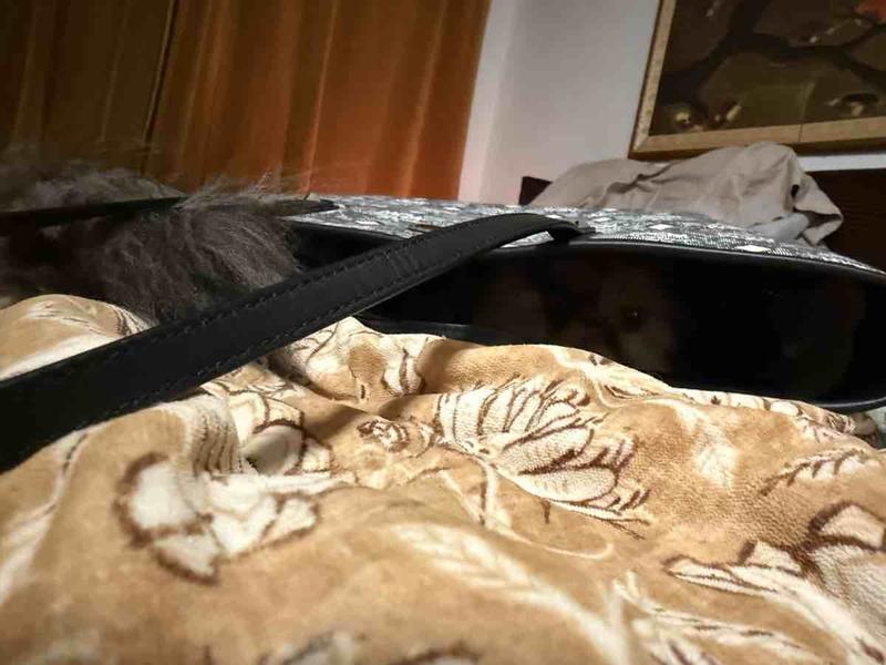 Review Thumbnail Image 0 249020754