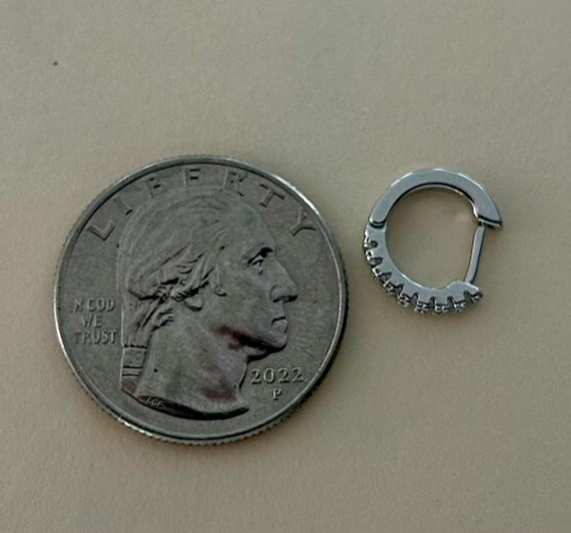 Customer photo for "Incredibly small earrings!"