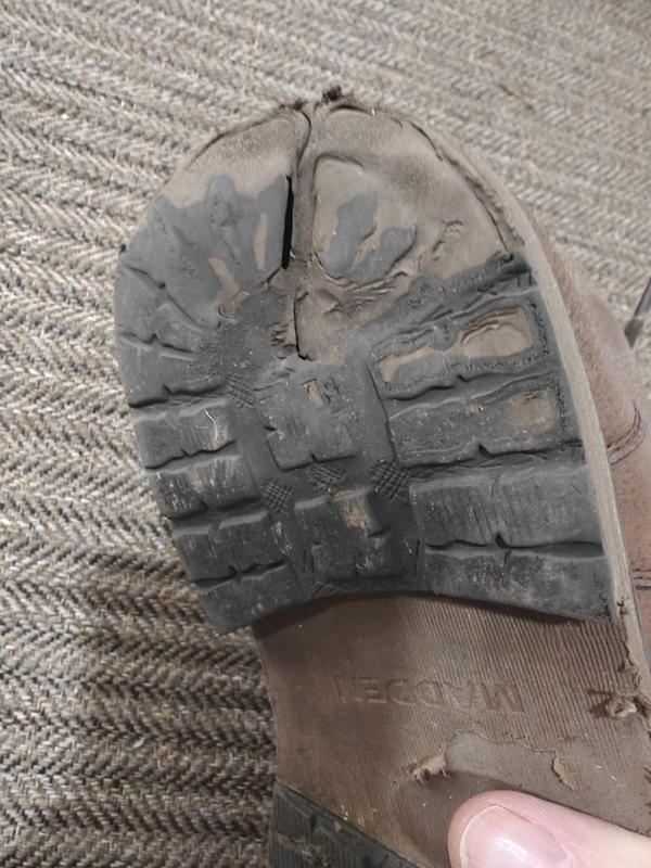 Review Thumbnail Image 2 246064294