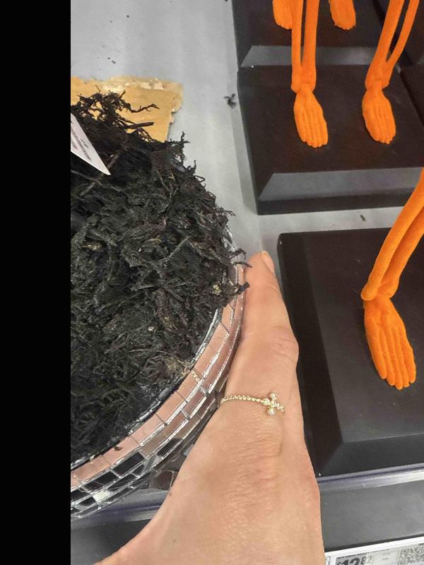 Review Thumbnail Image 0 245134885