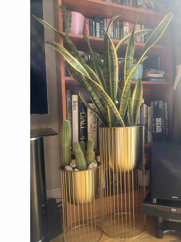 Review Thumbnail Image 0 223829452