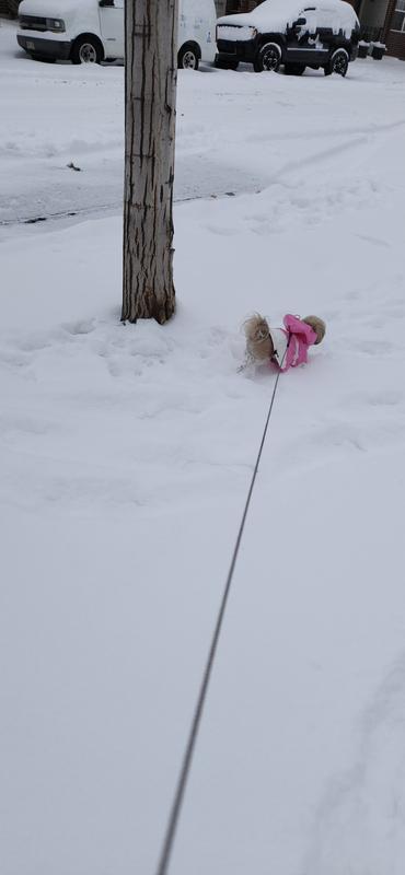 Review Thumbnail Image 2 231328000