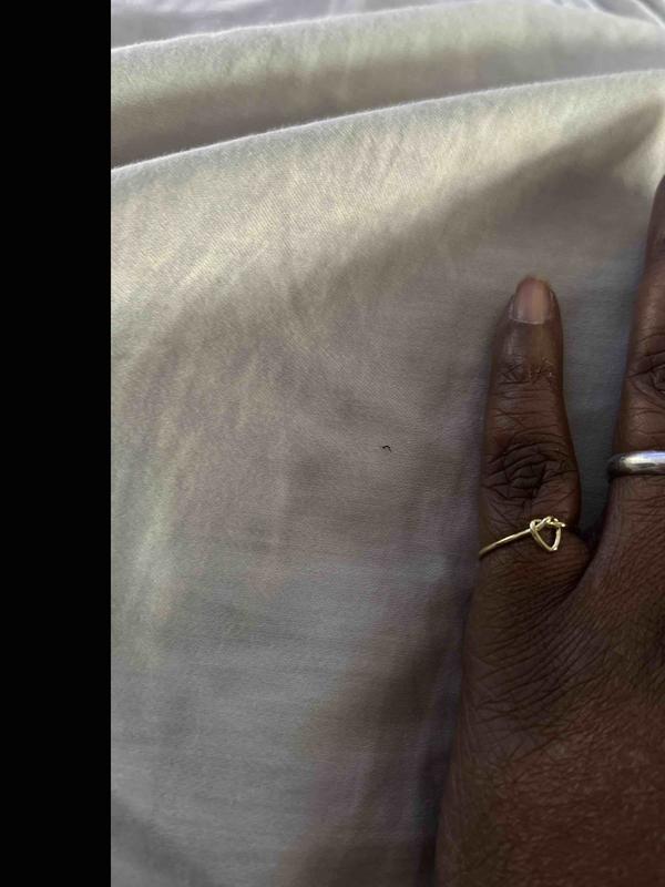 Review Thumbnail Image 0 244222033