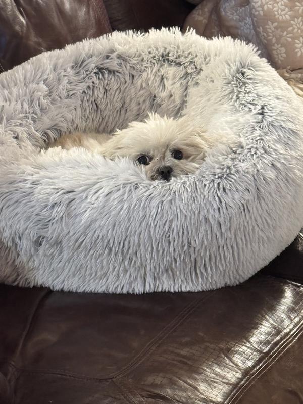 Review Thumbnail Image 0 238494670