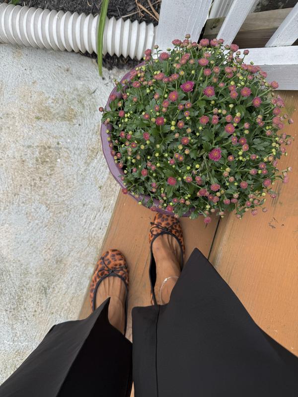 Review Thumbnail Image 0 236619497