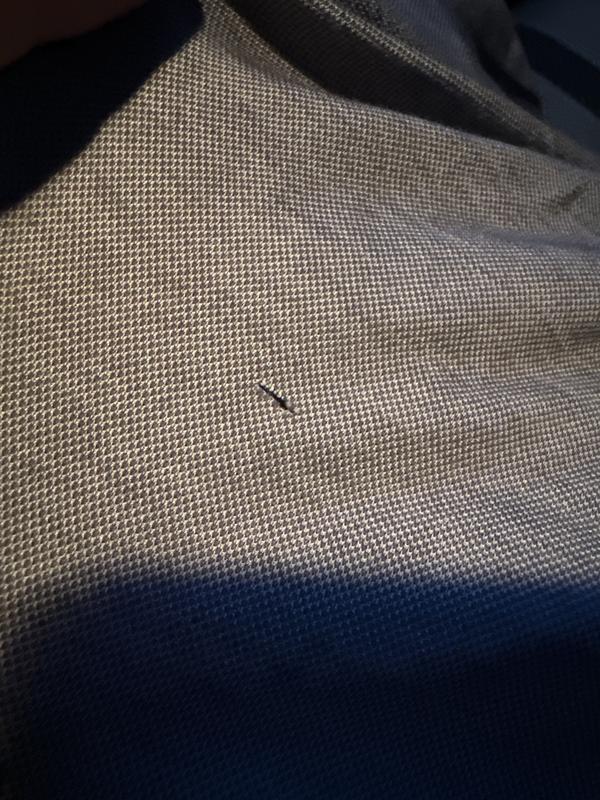 Review Thumbnail Image 0 233708251