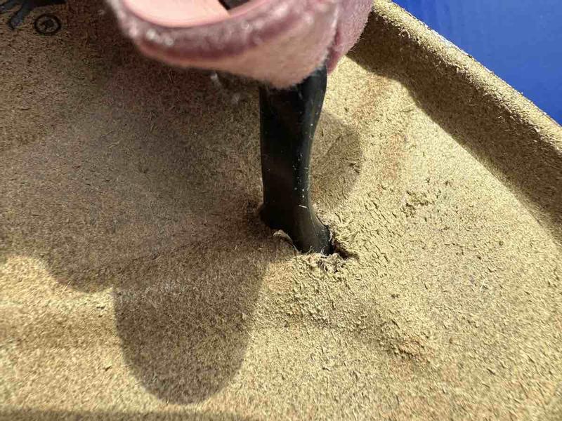 Review Thumbnail Image 0 221202494