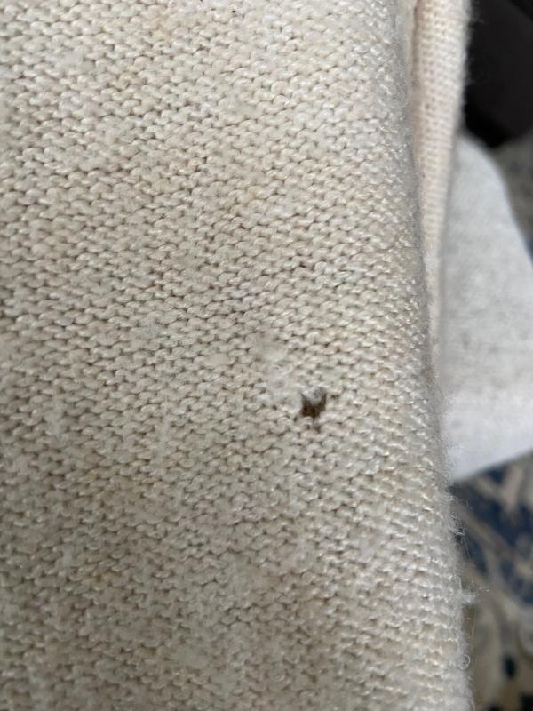 Sometimes Eats Clothes