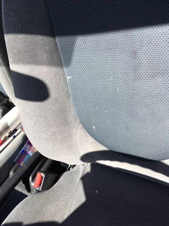 Shed feathers from the jacket