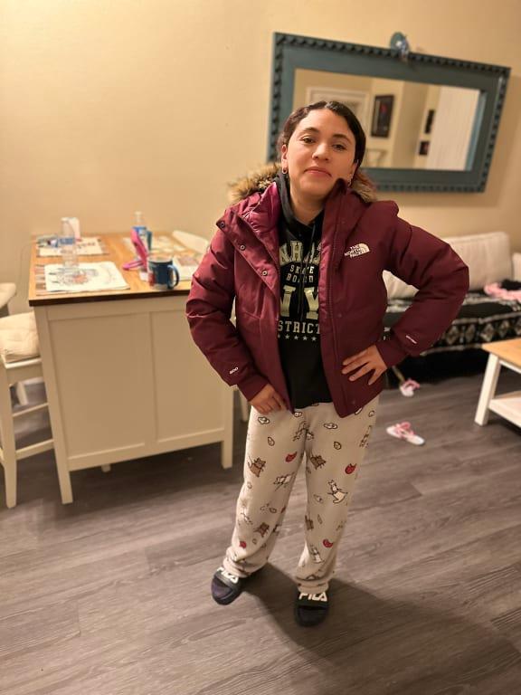 giubbino bomber north face