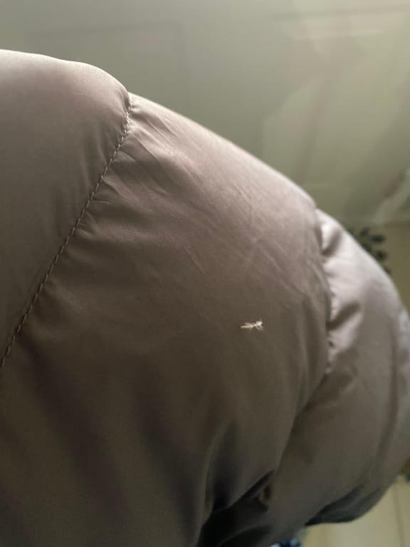 Photo submitted with review of product