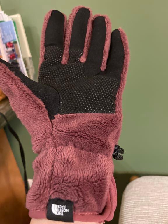 The north face women's deals osito etip glove