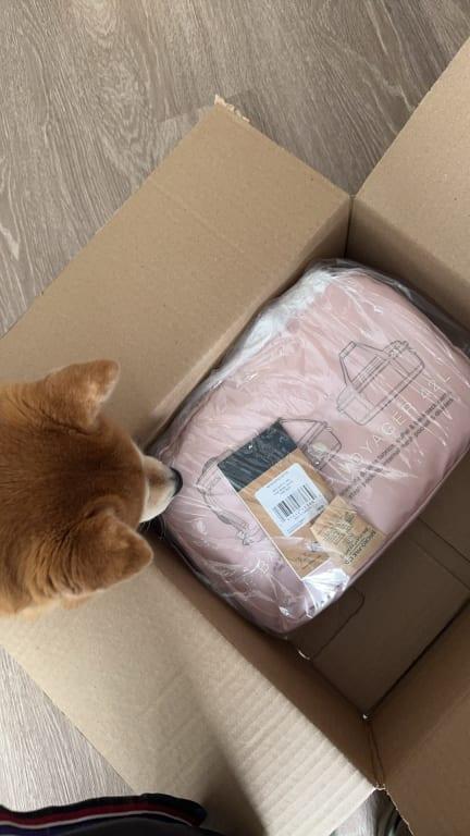 Photo submitted with review of product
