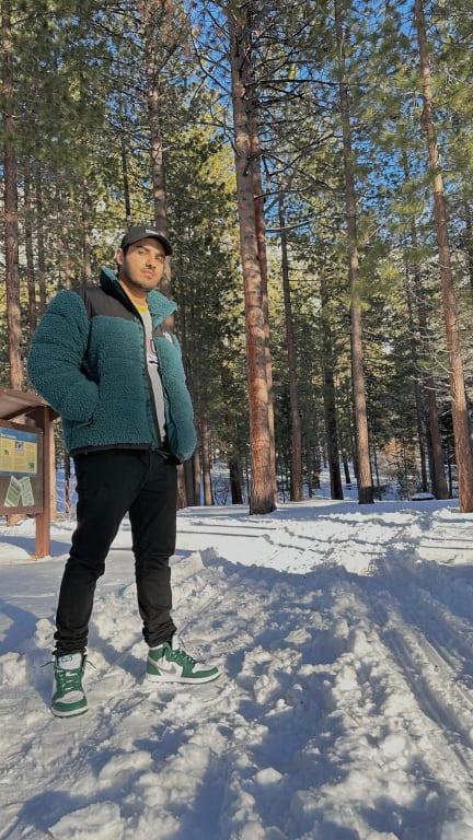 Puffer jacket The North Face Sherpa Nuptse Jacket