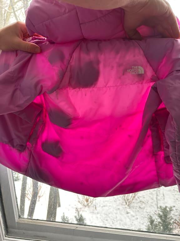 Photo submitted with review of product