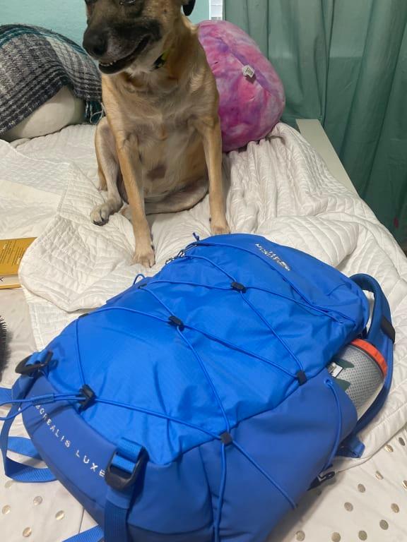 Photo submitted with review of product
