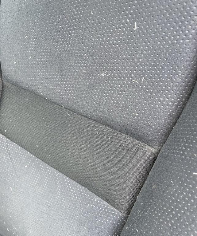 Down leakage after a five minute car ride