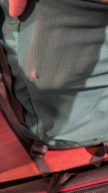 Photo submitted with review of product